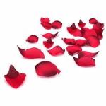 Banner_Petals