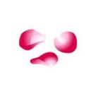 Falling_Pink_Petals2