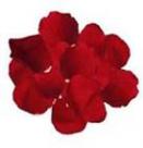 red petals-small