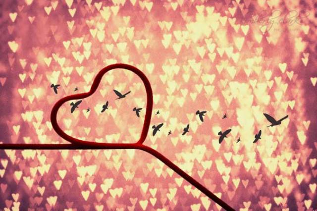 matters of the heart